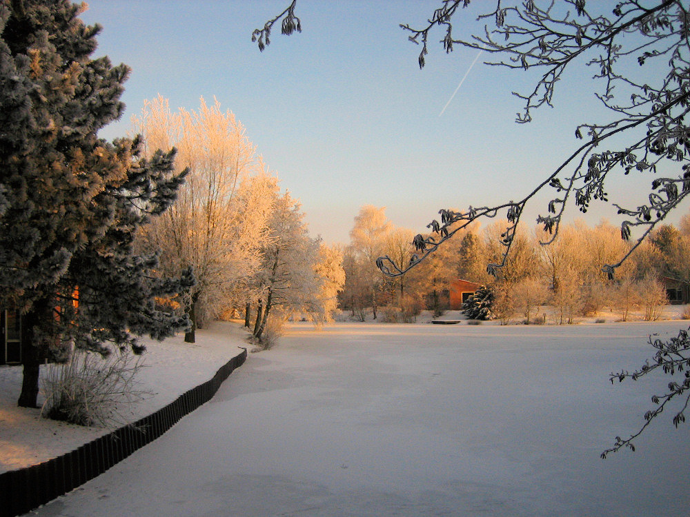  Through the frosty air зима
