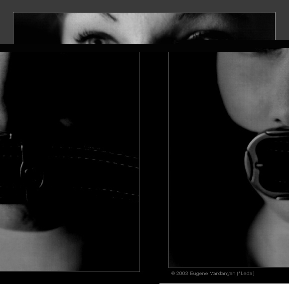 The silence 