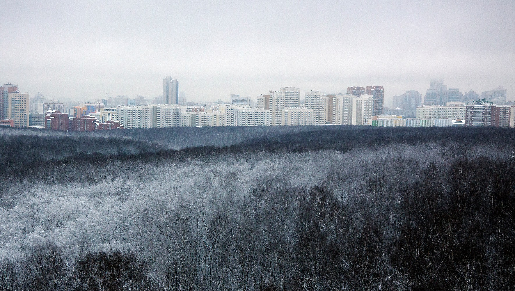 Взгляд на предновогоднюю Москву 