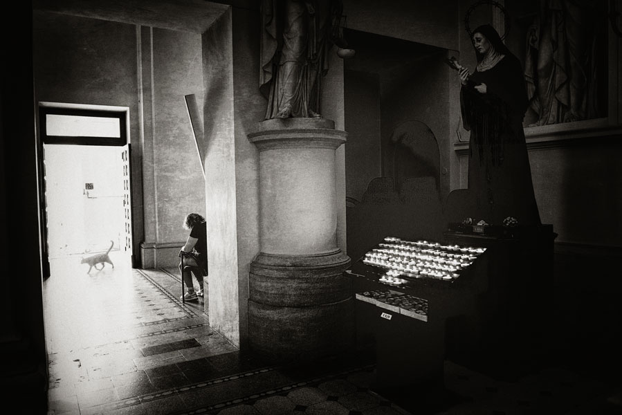 The visitor 