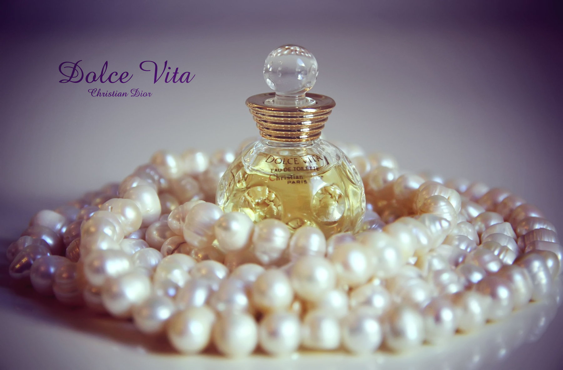 - - - - -  рекламное фото