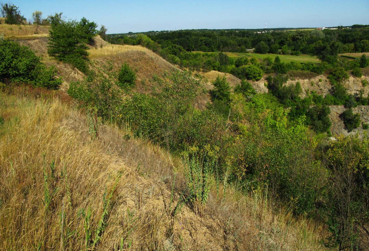 На склоне Эрастовского карьера Геосайт, карьер, Эрастово,