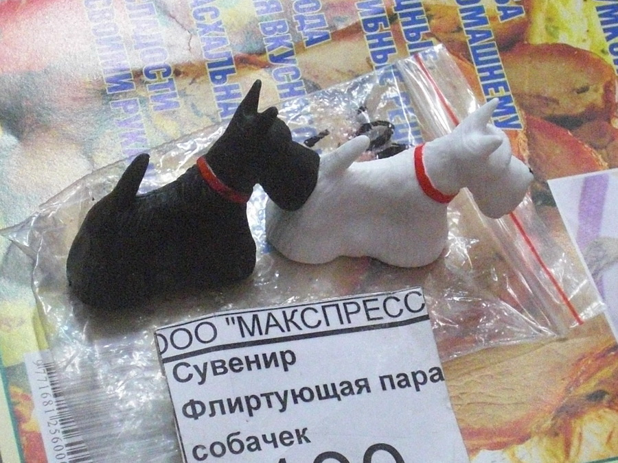 любви все запахи покорны. собачки флирт запах весна любовь