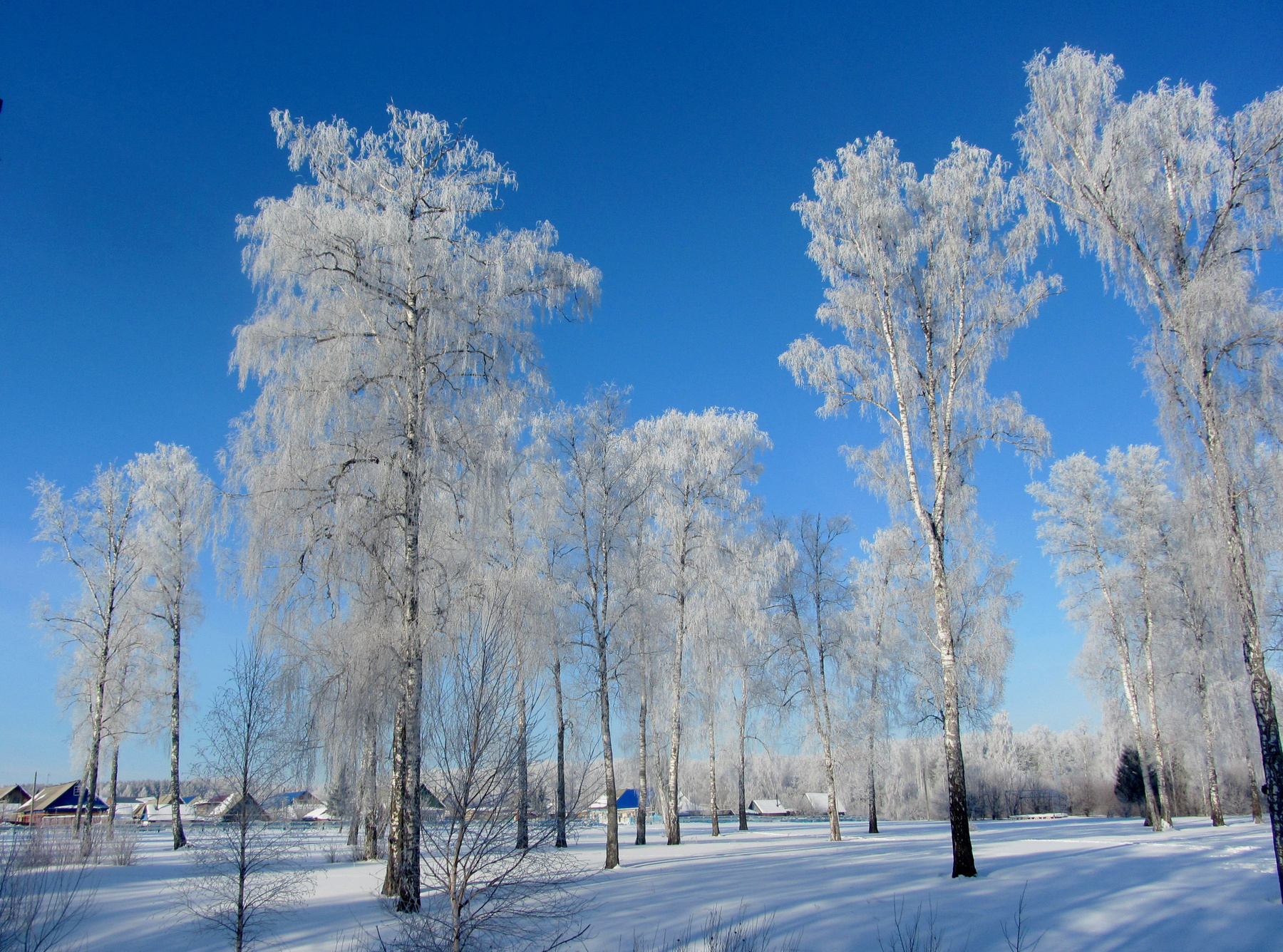 ***в феврале 