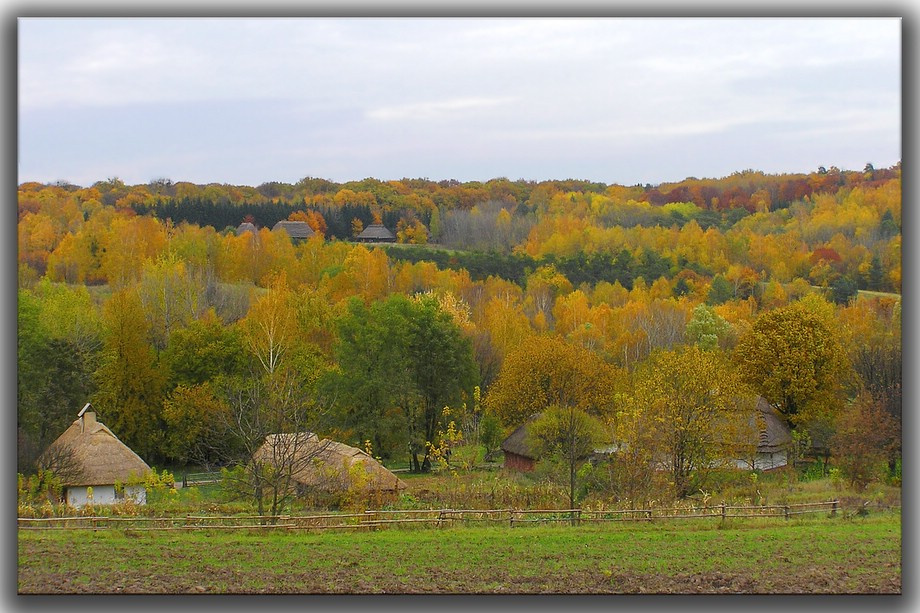 Краски осенние (Осеннее настроение)  лес,Киев, Пирогово, осеннее, настроение,