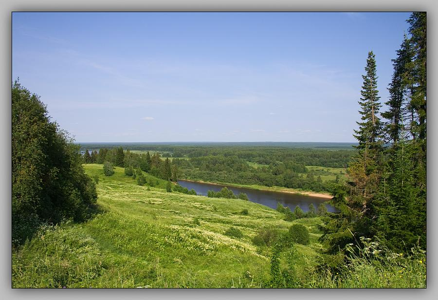 луга Пармы Парма Коми луг лето