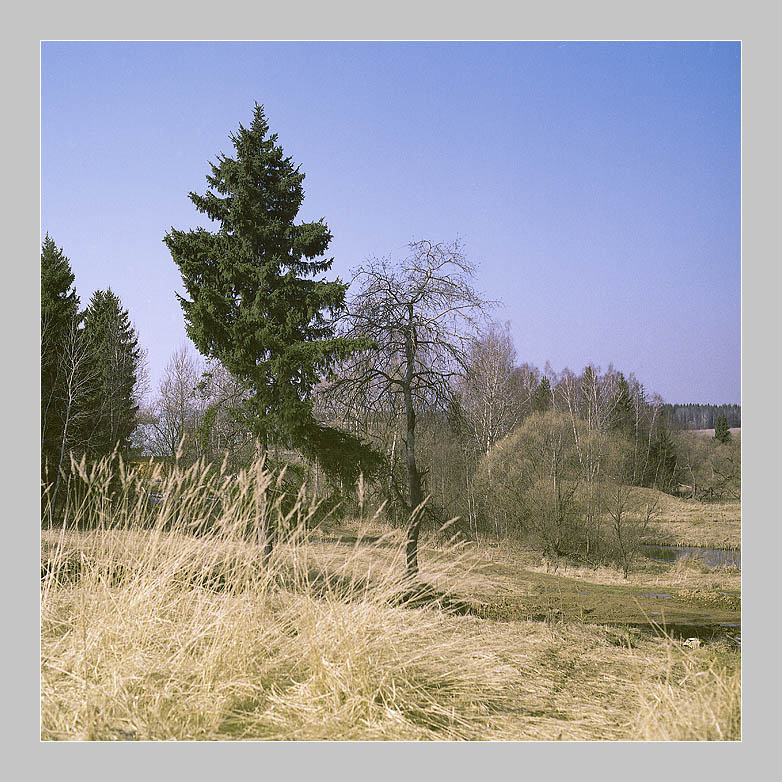 Весенняя зарисовка 2007 