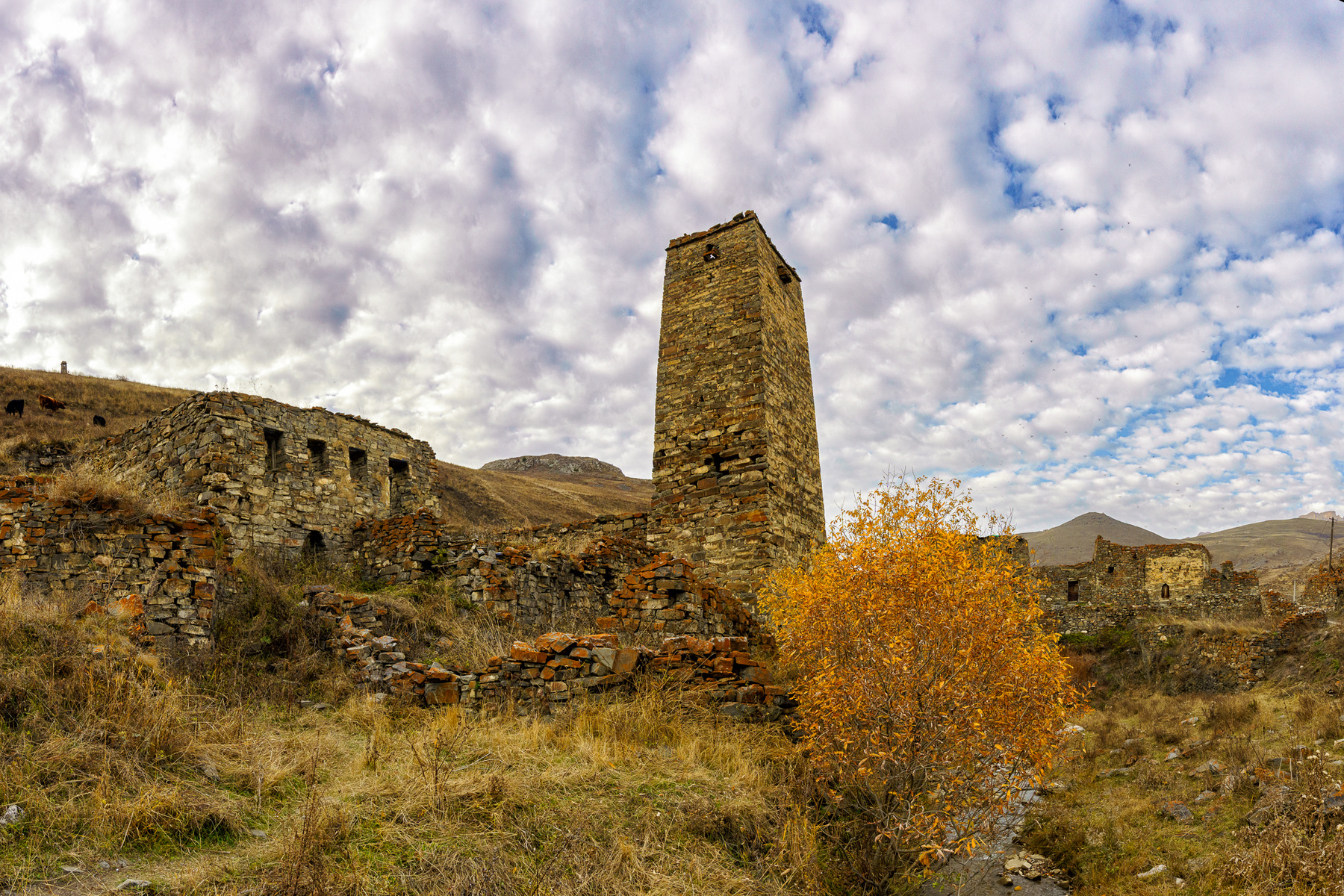 Галиат 