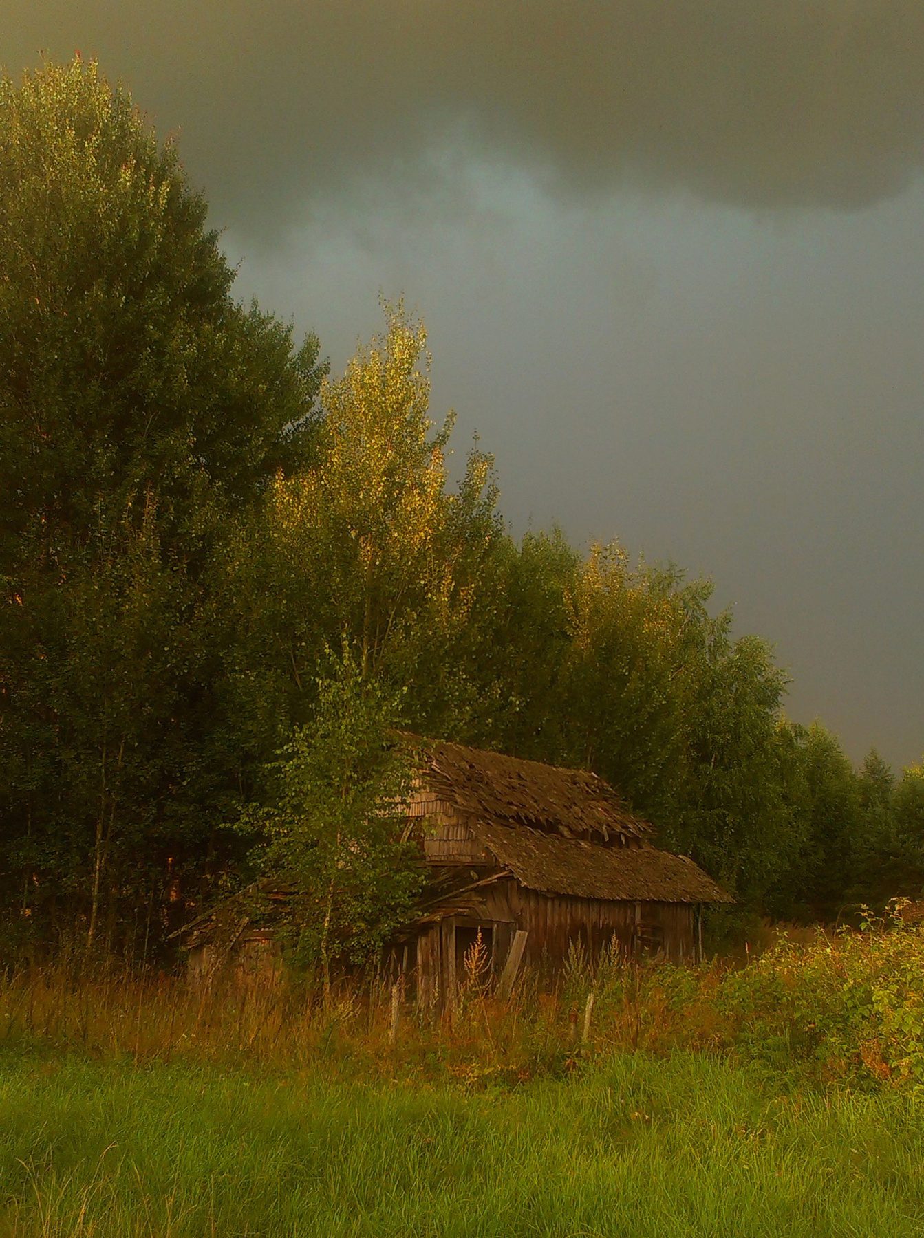 Деревенский пейзаж пейзаж природа деревня Россия