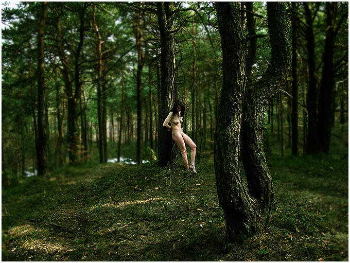 Forest nymph 