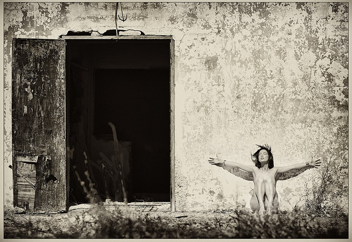 the doors 
