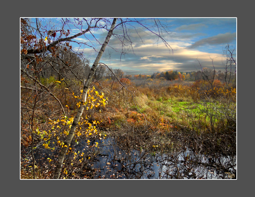 Landscape with Assabet River 