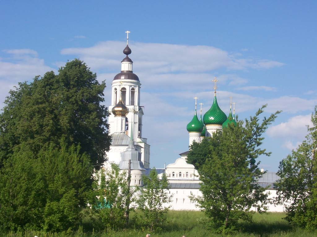 Толжский монастырь солнце небо купола деревья