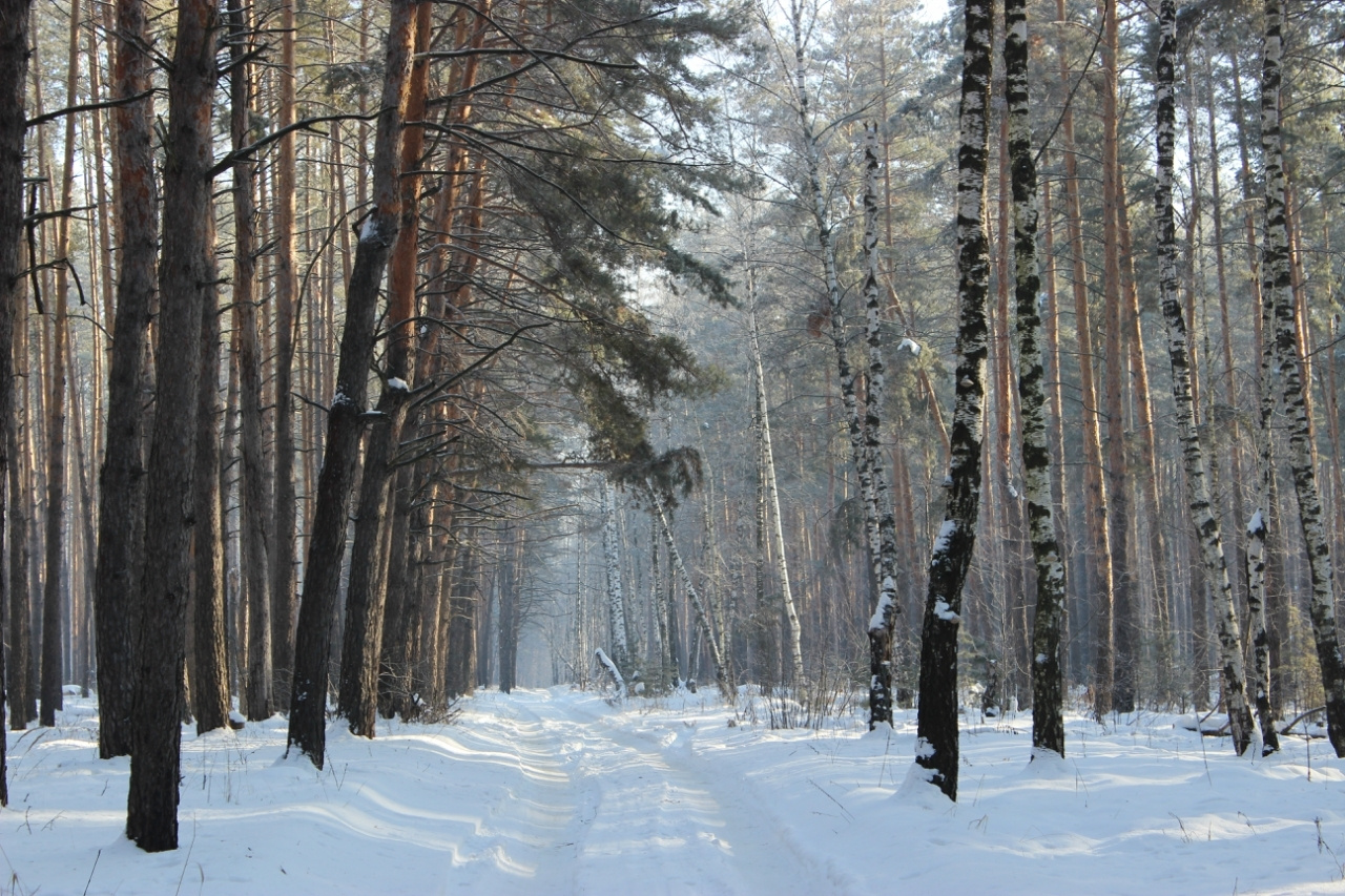 воздуха морозного хрусталь.... 