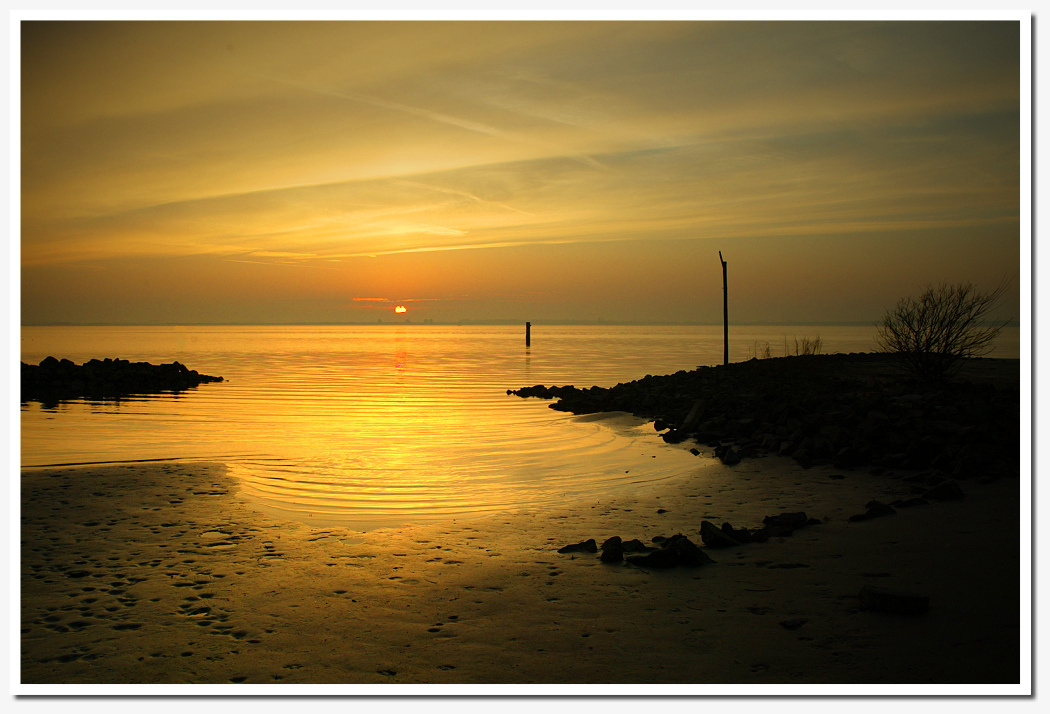 * Holland