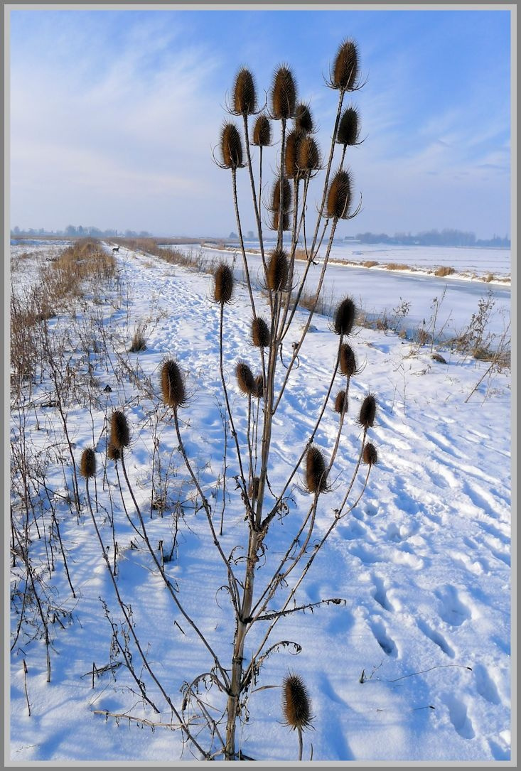 januari 2013 Winter 2013