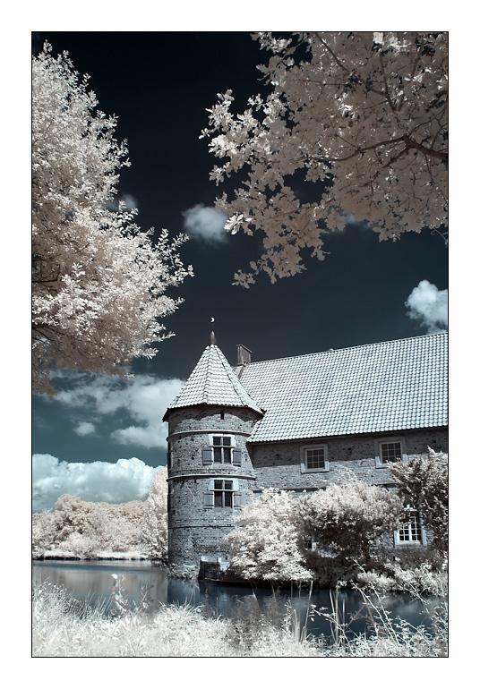Haus Voegeding /  Infrared это вам не ЖУЖУ Infrared HOYA IR72
