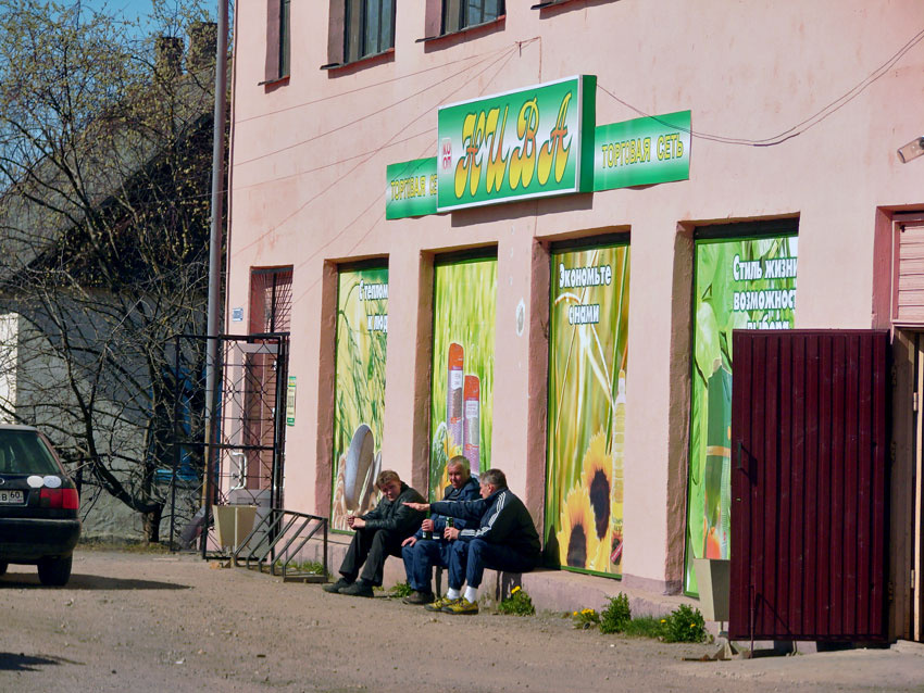 одуванчики 