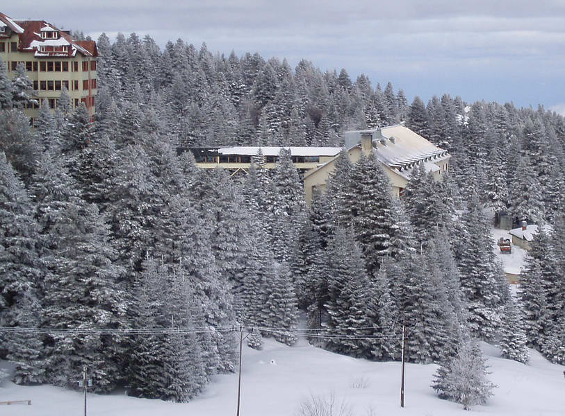 019 winter