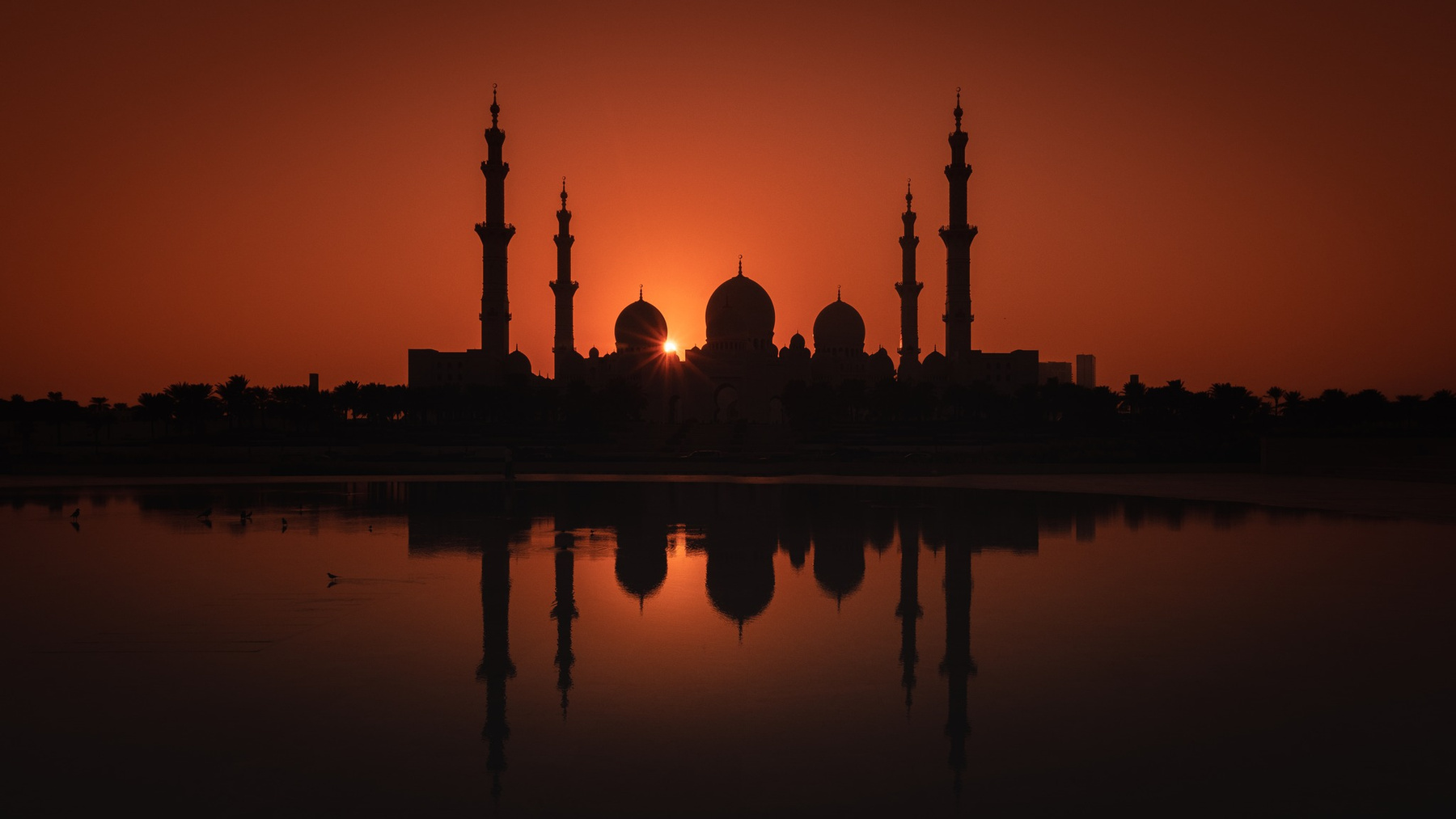 Sheikh Zayed Grand Mosque, Abu Dhabi ОАЭ эмираты абу-даби мечеть город закат сумерки вечер отражение