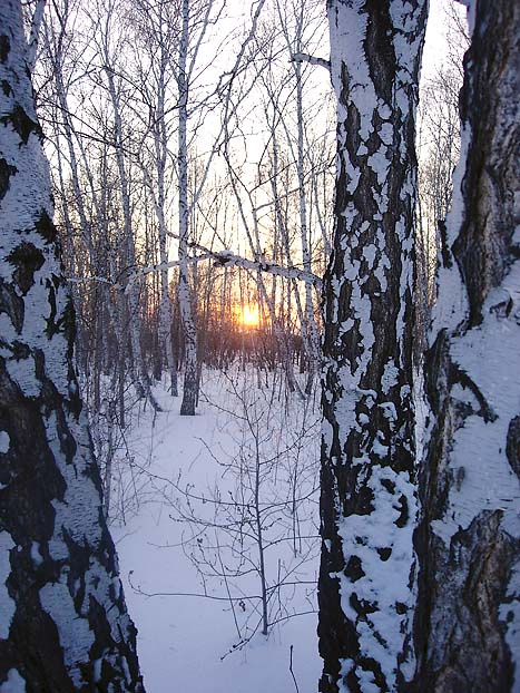 закат 