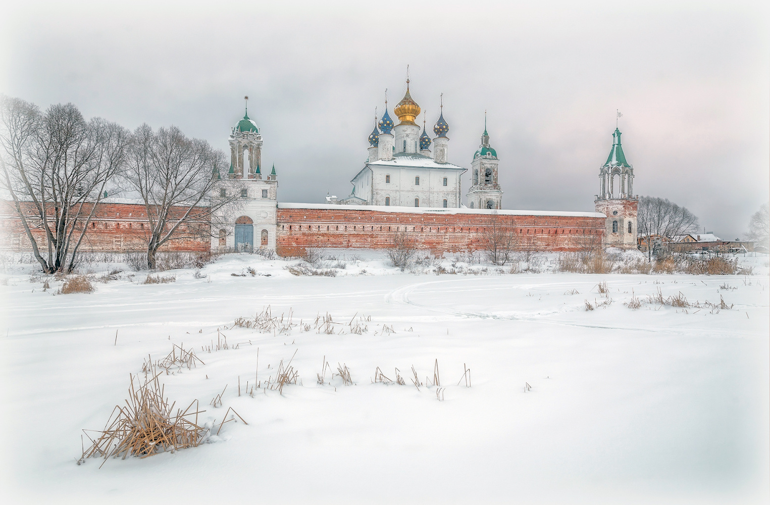 Спасо-Яковлевский Димитриев монастырь 