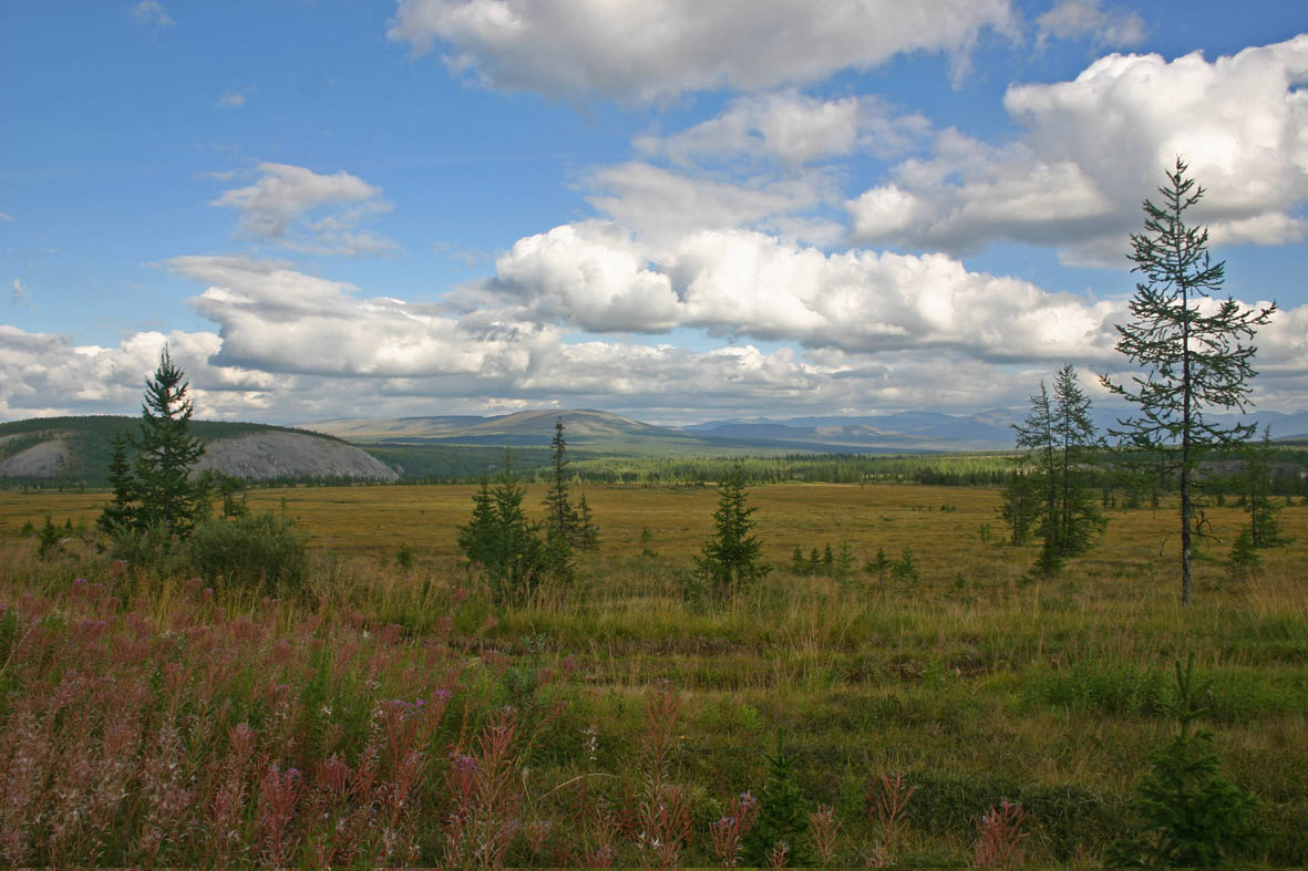 предгорья Урала 