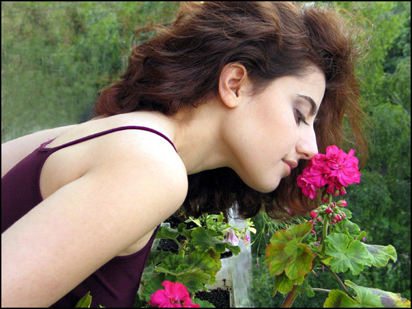 J'AIME UNE FLEUR цветок сад аромат