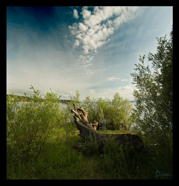 Про карягу и кусочек неба) 