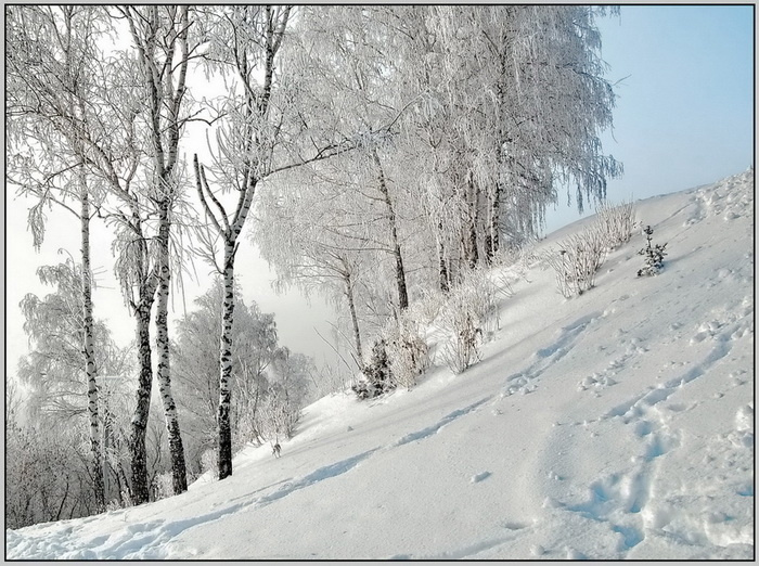  косогор 