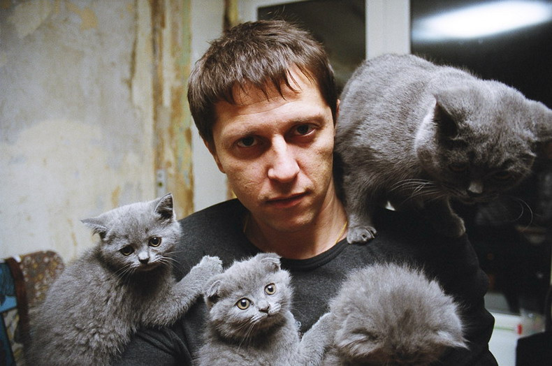 кошкин гость кошки вислоухие