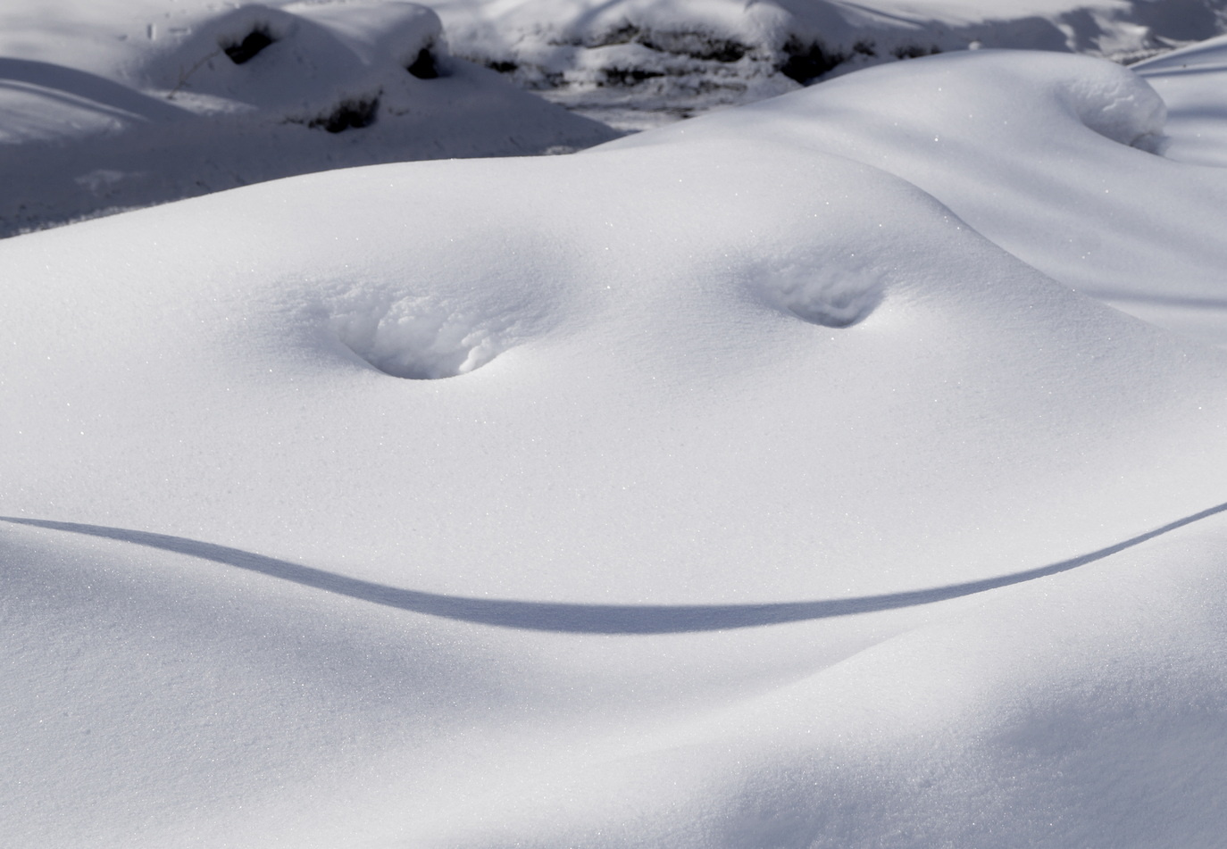 Last Winter Smile 