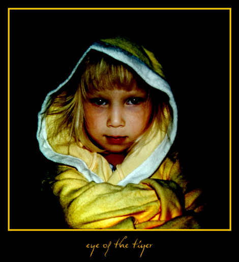 eye of the tiger 