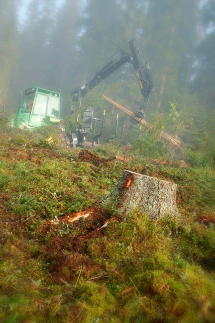 в лесу forest, finland, forwarder