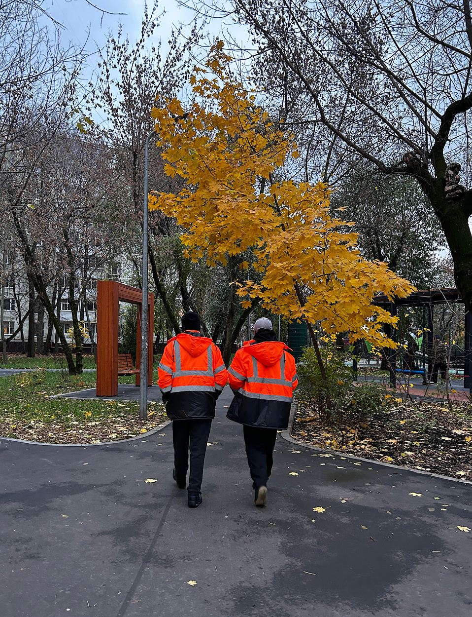 в позднюю осень... 