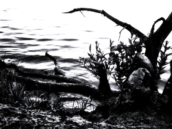 Затишие.. 