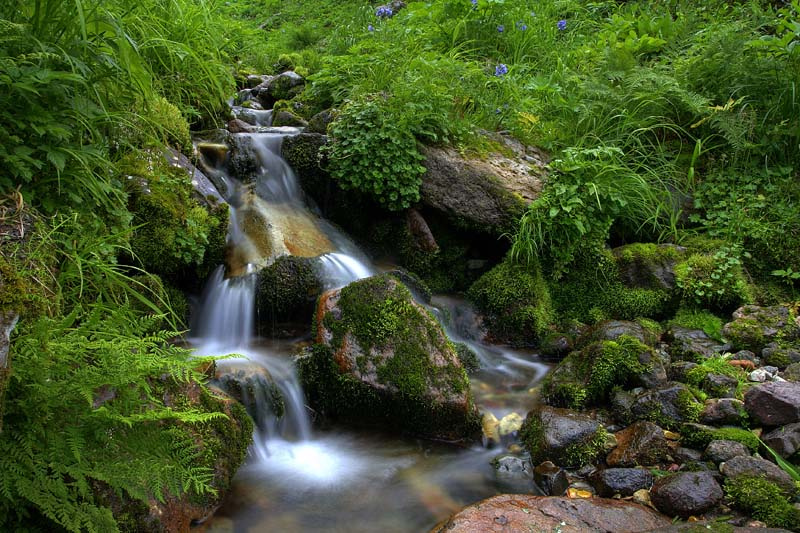 горный ручей ручей горы вода