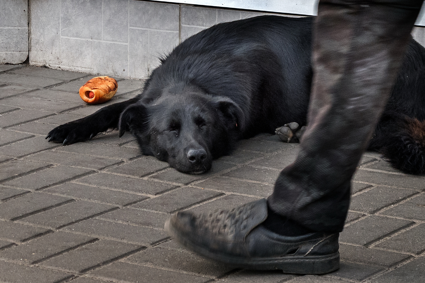 Хотдог не хочет дог)) 