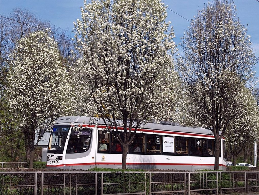 Весна в Краснодаре 