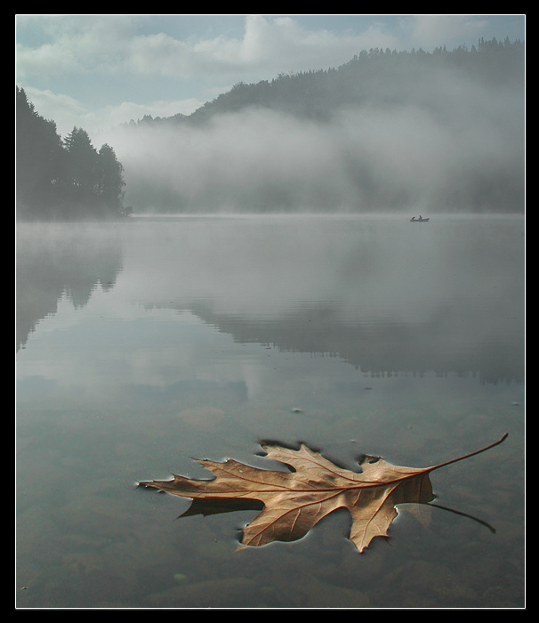 Тишина на озере \"Hennesee\" Утро