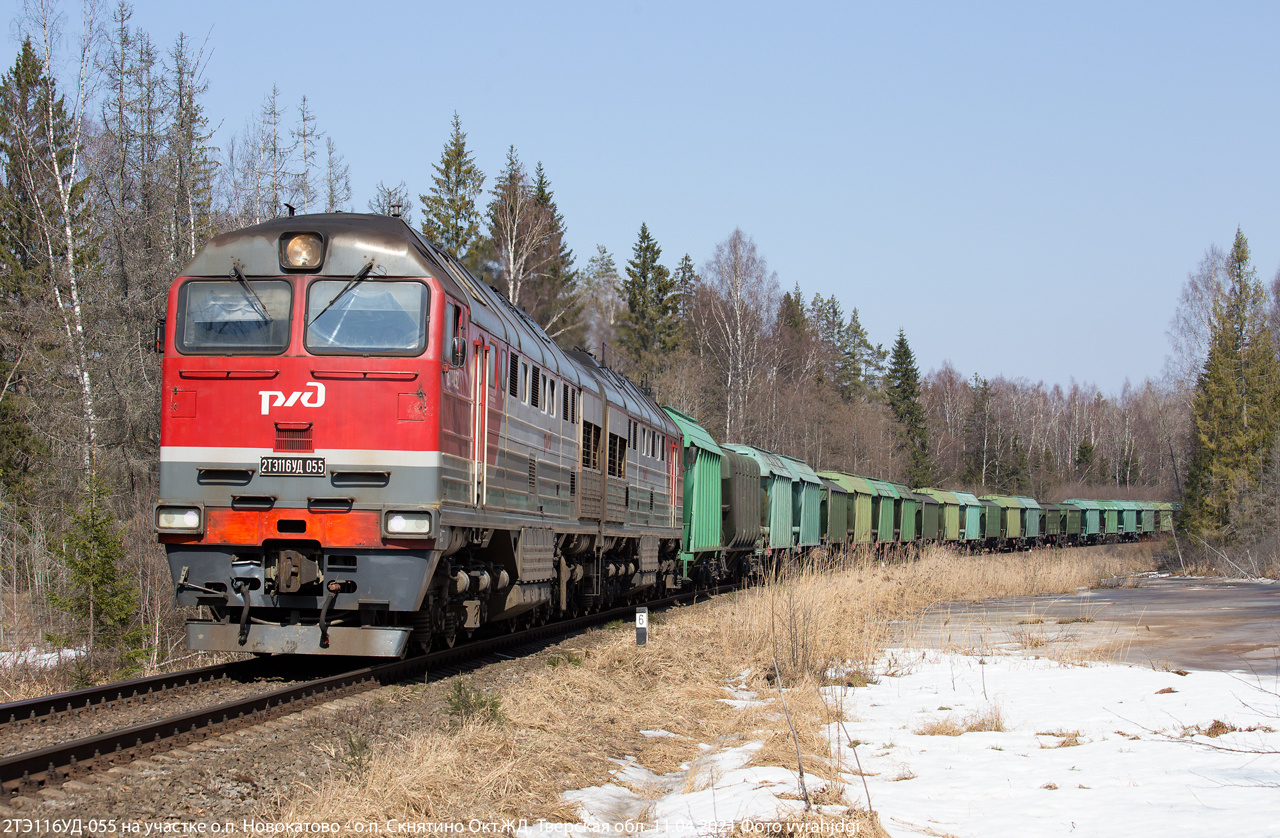 2ТЭ116УД-055 тепловоз 2ТЭ116УД грузовой поезд