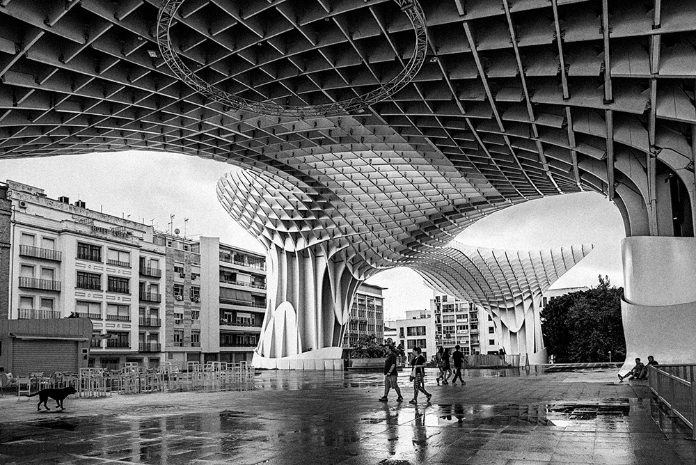 Metropol Parasol 