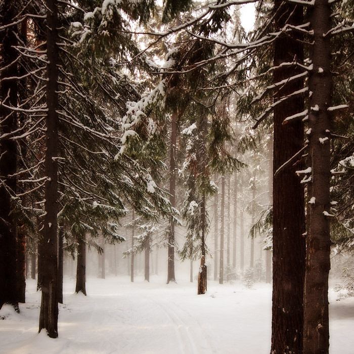 Snow mist 
