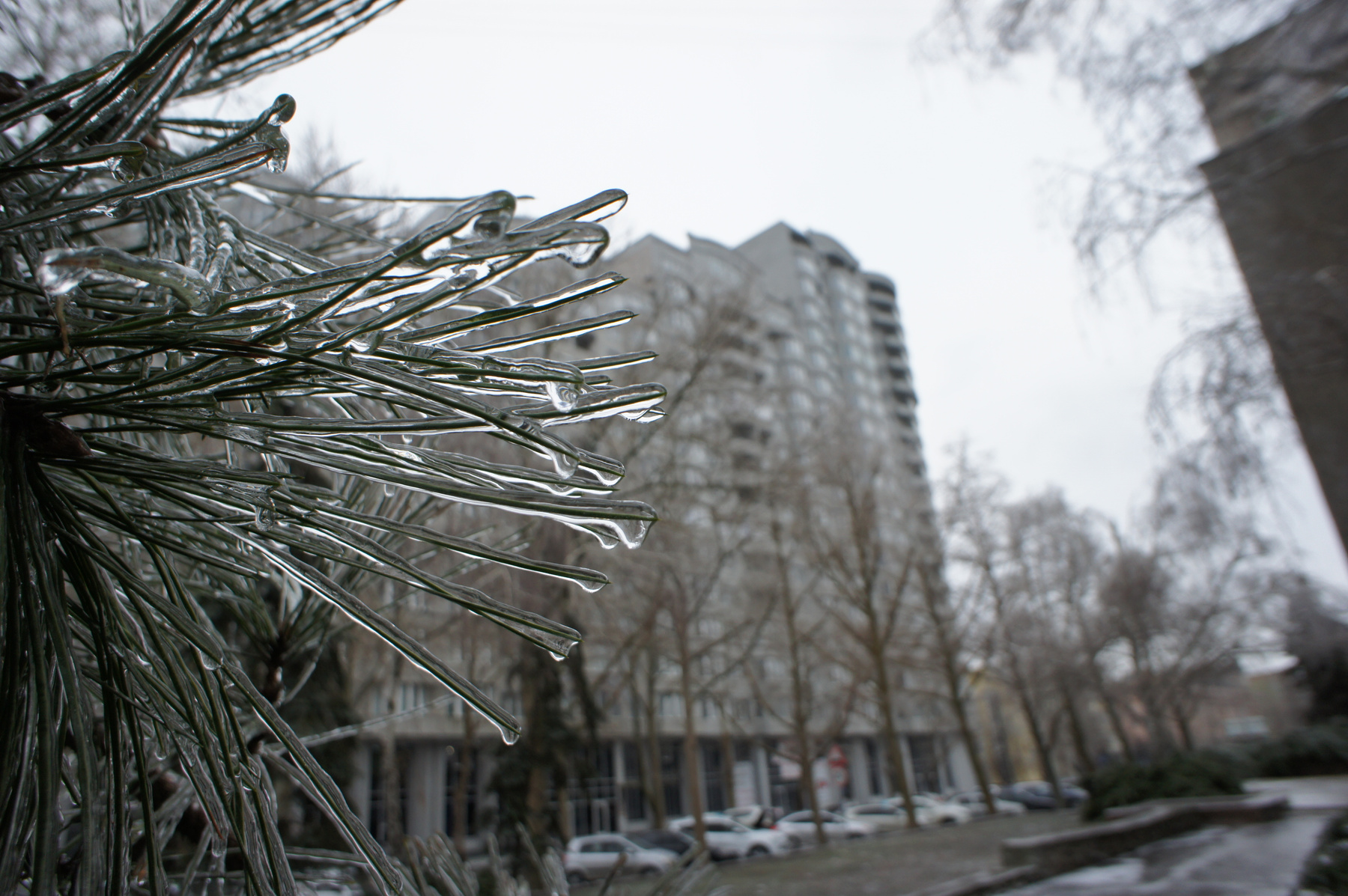Последнее дыхание зимы лёд Николаев оледенение обледенение город