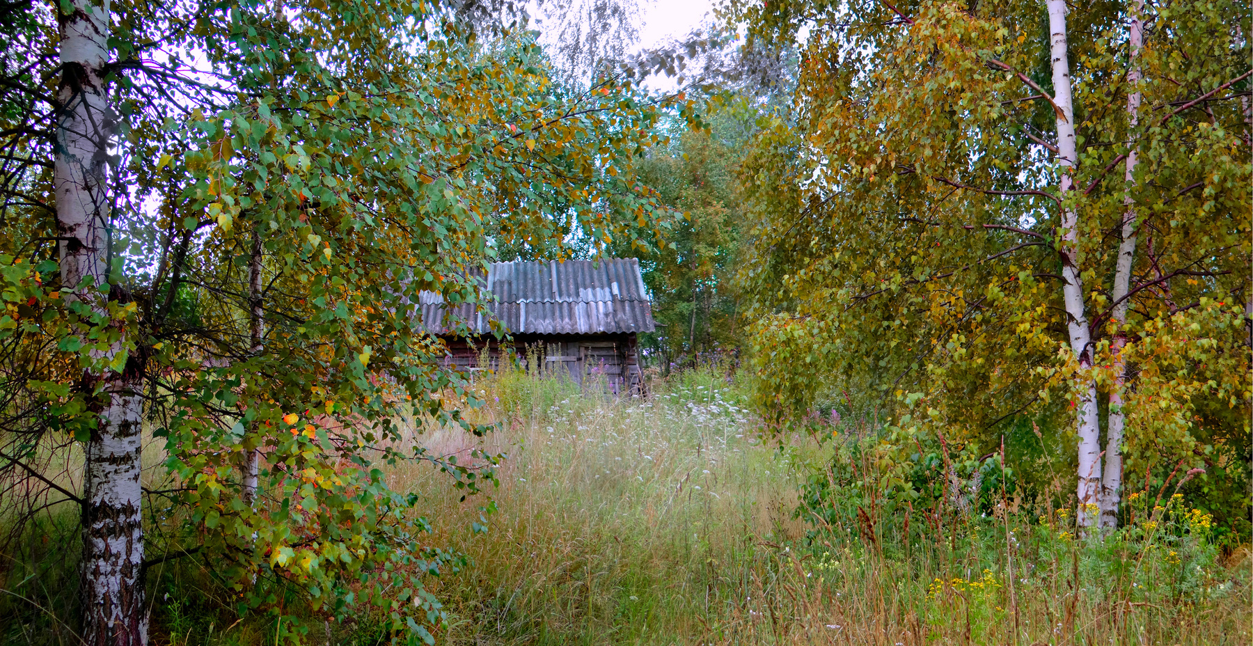 с. Пелегово ( д. Жуково ) 