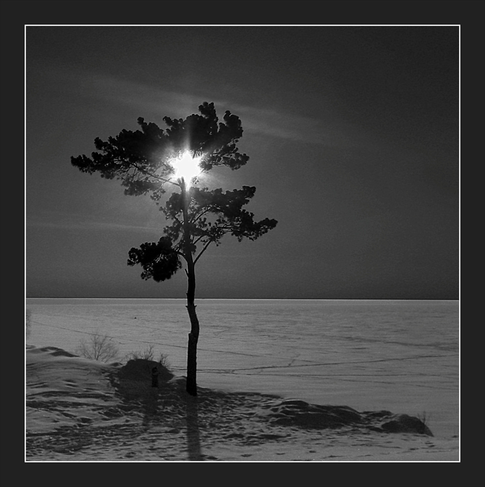 *** 