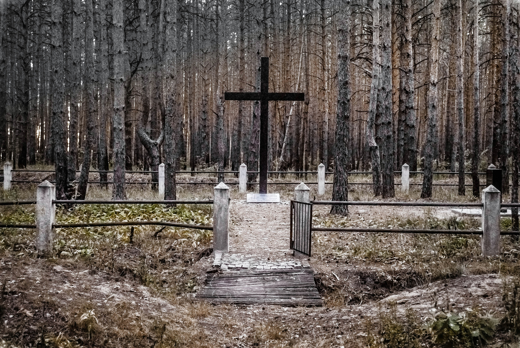крест под соснами кладбище лес сосны