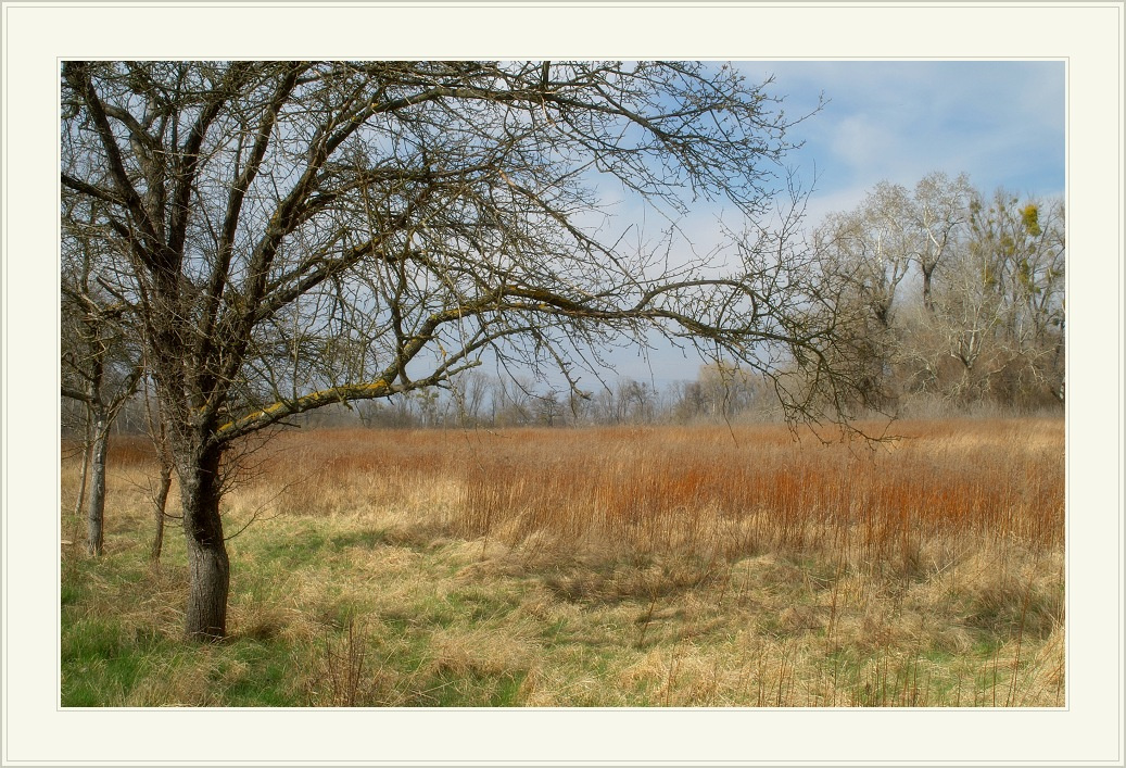 Весна в Lobau. весна март Lobau тепло весенняя простуда авитаминоз