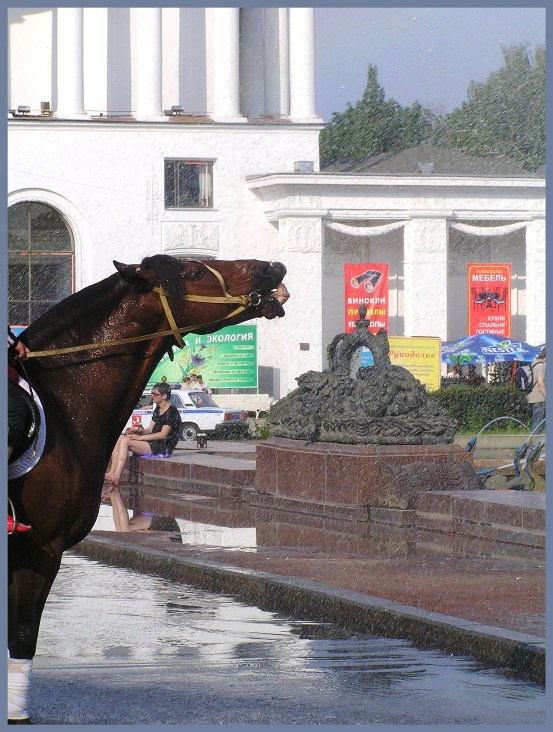 Жара в Москве жара, лошадь, фонтан, Москва