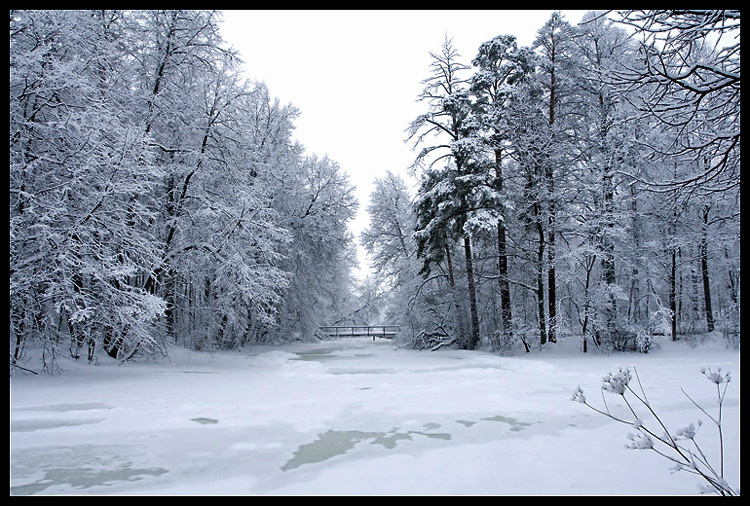 Февраль 